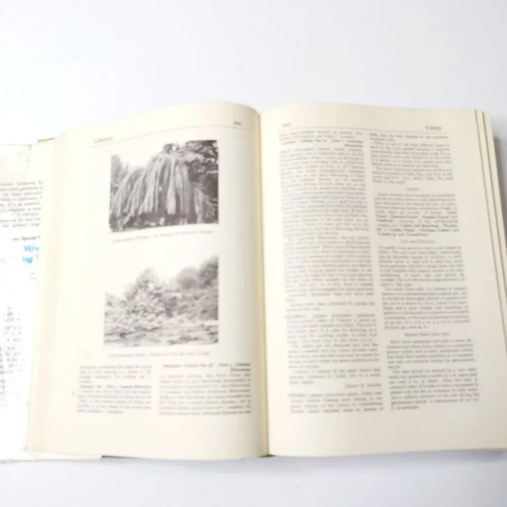 Wyman's Gardening Encyclopedia by Donald Wyman 1971 1st printing w/Dust Jacket
